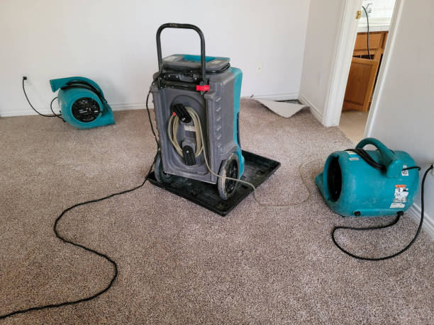 Best Water damage contractors near me  in Romney, WV