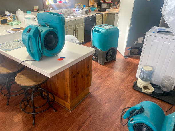 Best Water damage restoration near me  in Romney, WV