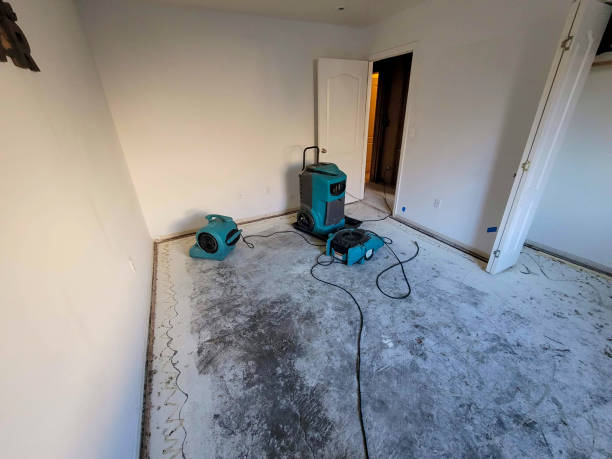 Best Water damage contractors near me  in Romney, WV