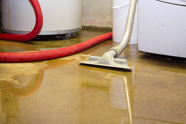  Romney, WV Water damage restoration Pros