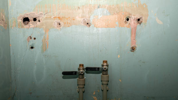 Best Flooded house restoration  in Romney, WV
