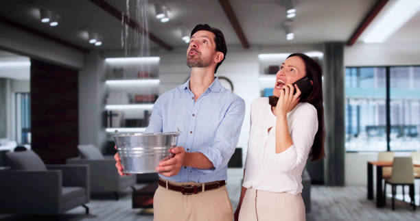 Best Local water damage restoration  in Romney, WV