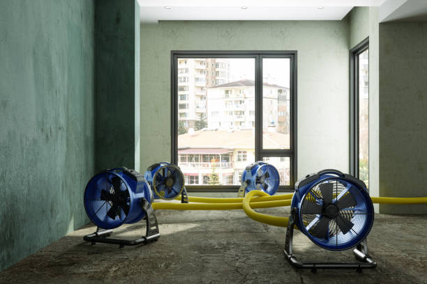 Best Water damage restoration near me  in Romney, WV