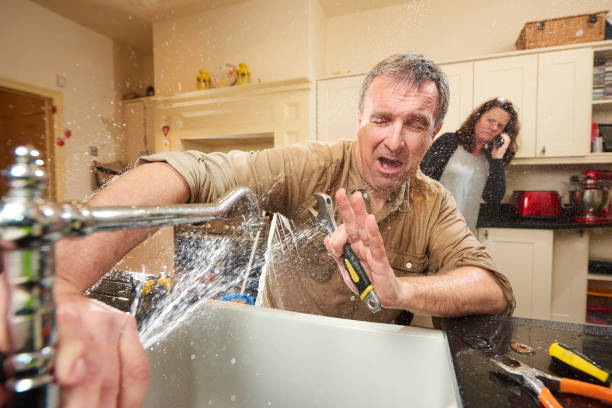 Best Basement water damage restoration  in Romney, WV